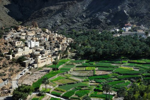 Sultanate of Oman - Village of Balad Sayt with patchwork of cultivated fields(VO-07-0206)