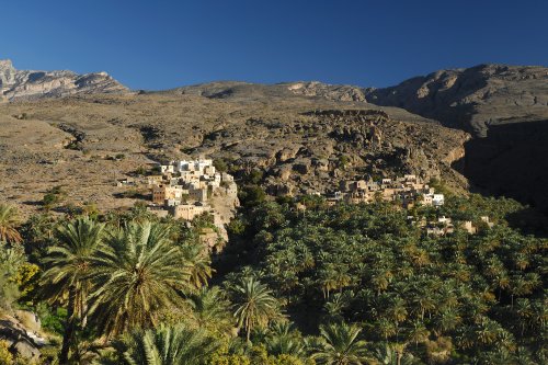 Sultanate of Oman - Old village of Misfat with its palm grove in the valley(VO-07-0266)