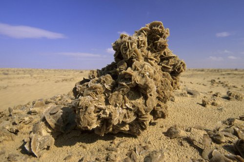 Desert Rose Rose De Sables 